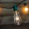 10ct. Clear Edison Glass Patio String Lights with Green Wire